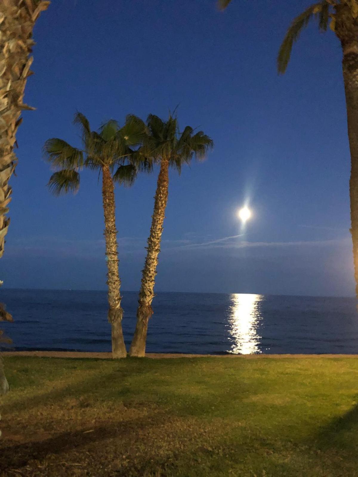 Appartement Regata Playa à Oropesa del Mar Extérieur photo